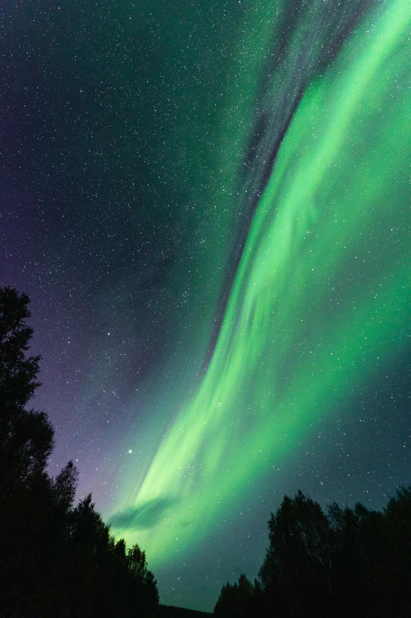 Marasto * Rovaniemi